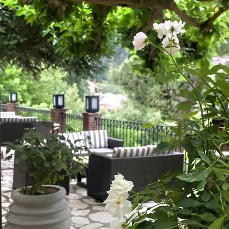 Steni Hotel Steni Dhirfios