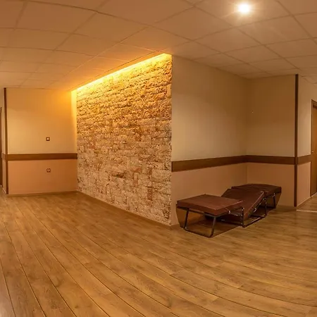 Steni Otel 2*