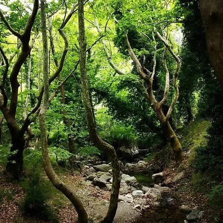 Ξενοδοχείο Steni