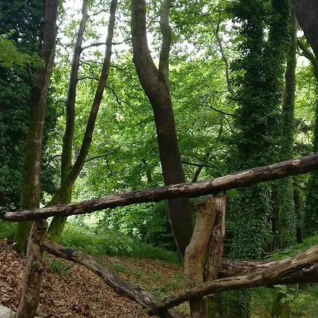 Steni Steni Dhirfios