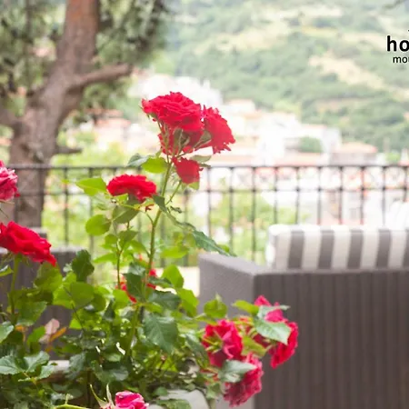 Ξενοδοχείο Steni Στενή Δίρφυος