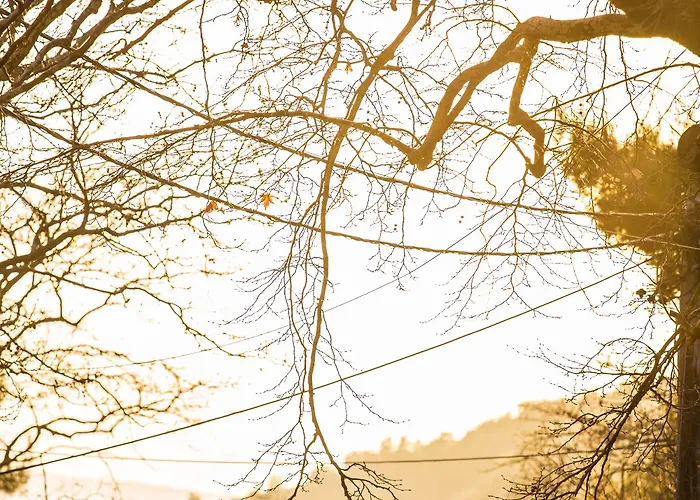 Ξενοδοχείο Steni Στενή Δίρφυος