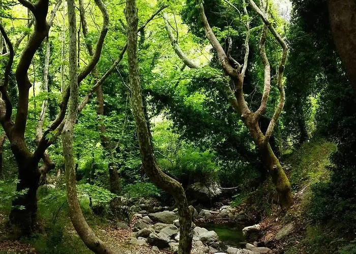 Ξενοδοχείο Steni