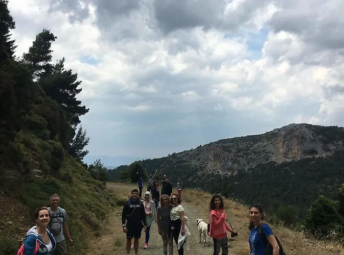 Steni Ξενοδοχείο